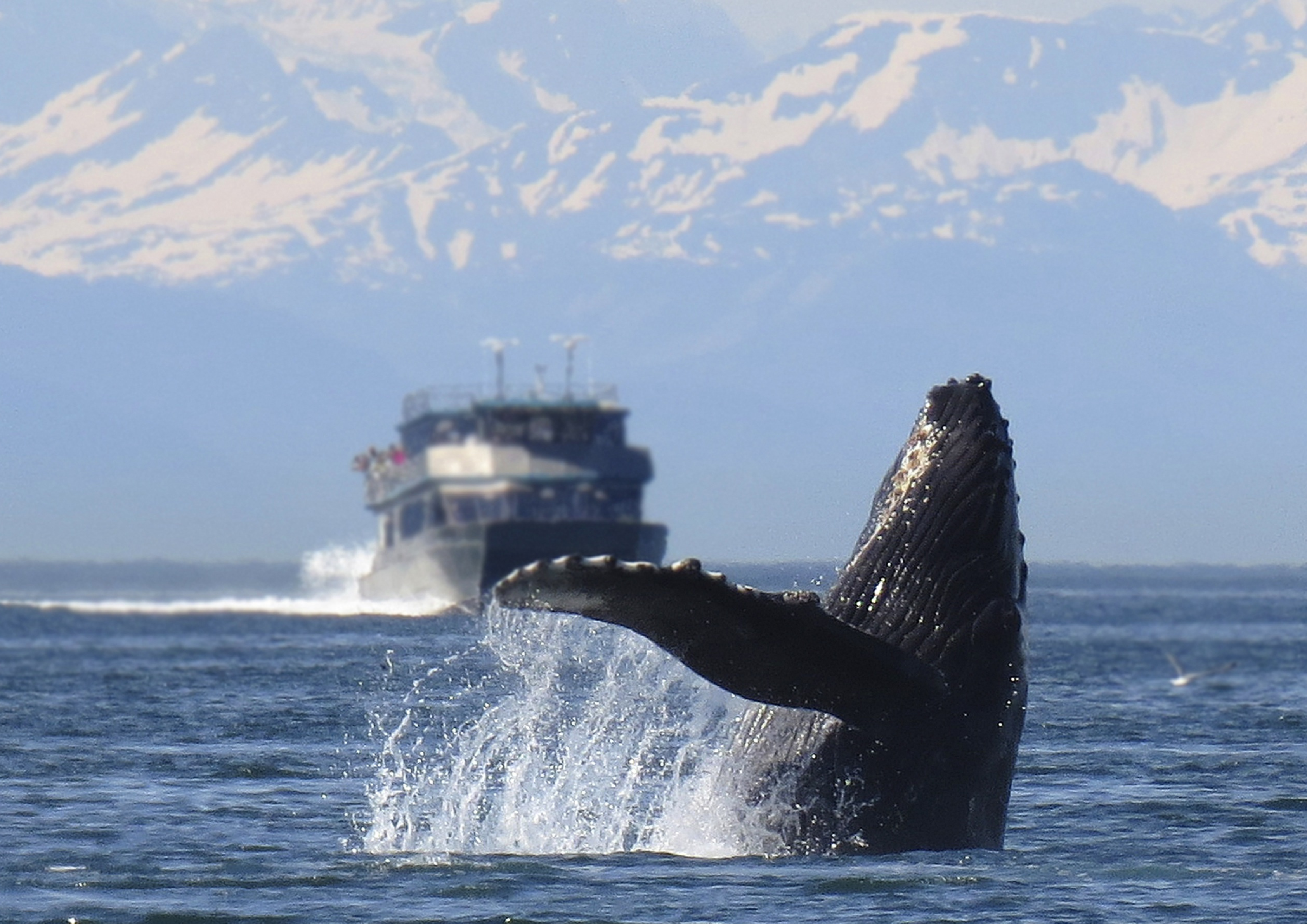 10 Best Cruise Destinations in the World