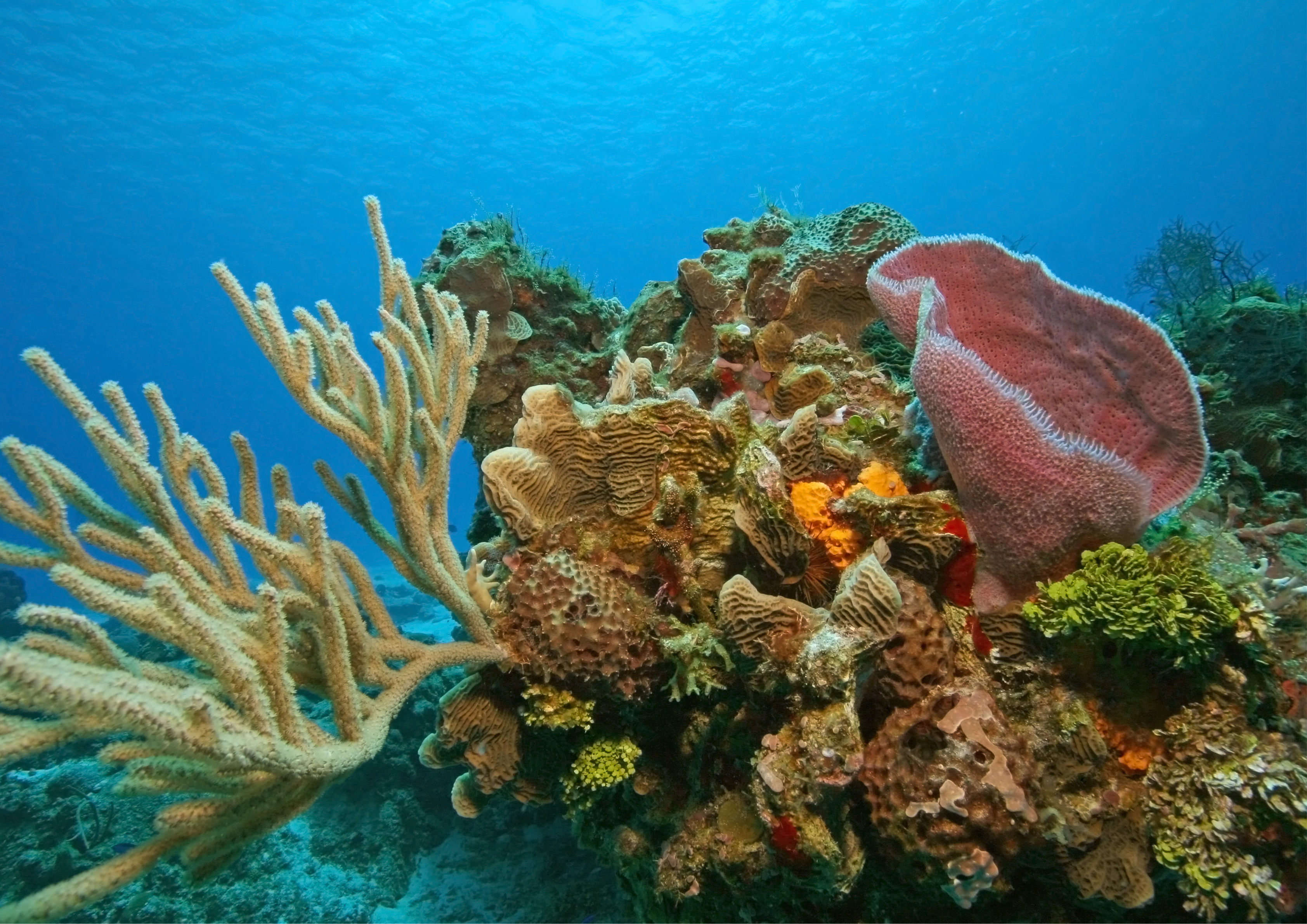 10 Best Cruise Destinations in the World