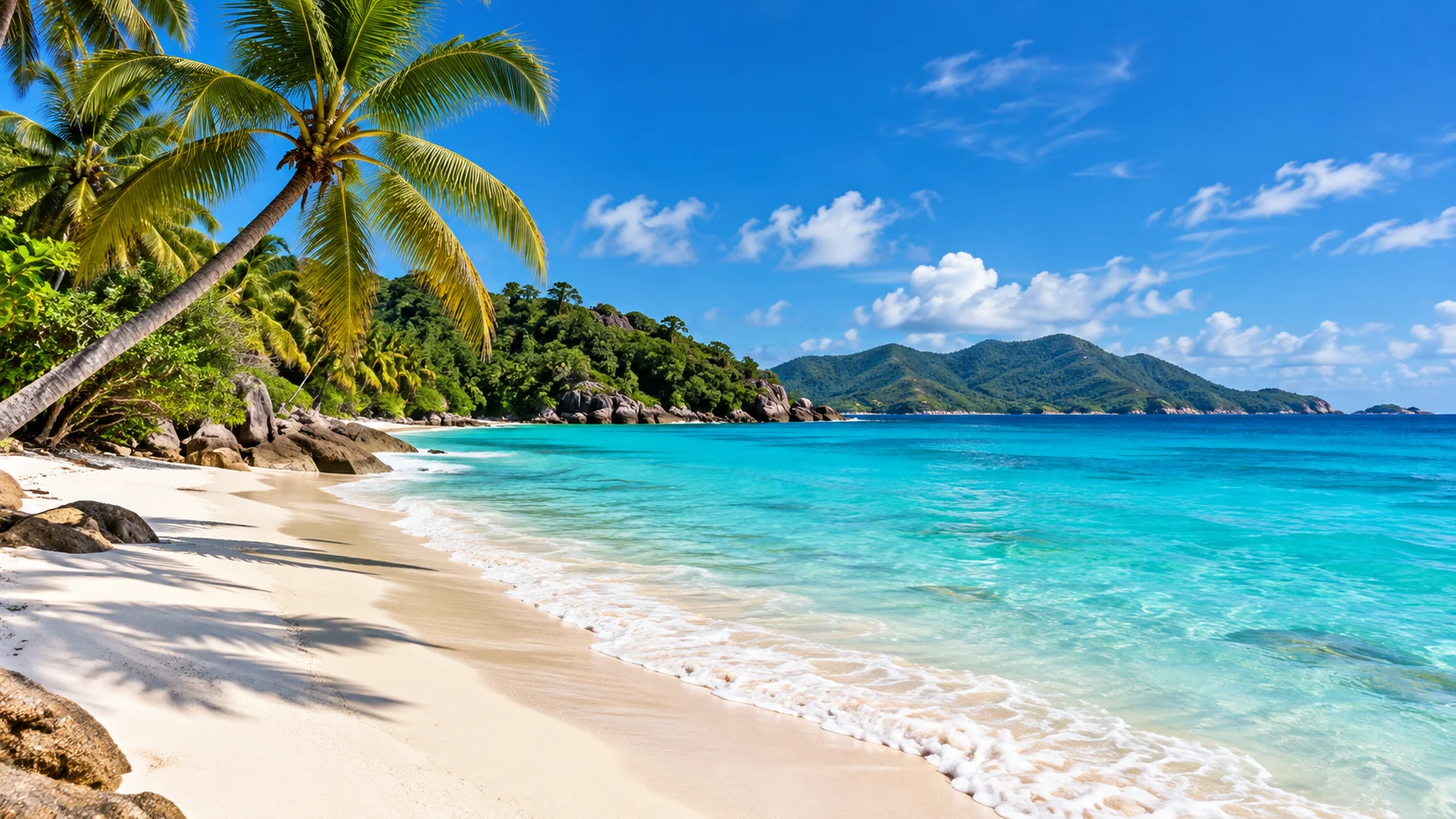 Tropical Caribbean beach with white sand, turquoise sea and palm trees